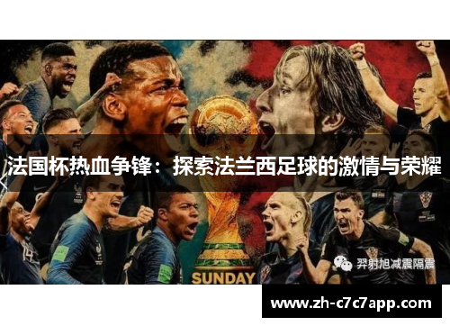 法国杯热血争锋：探索法兰西足球的激情与荣耀